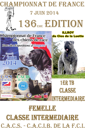 ILLROY du Clos de la Luette 1ere en CLASSE INTERMEDIAIRE FEMELLE au CHAMPIONNAT DE FRANCE 2014